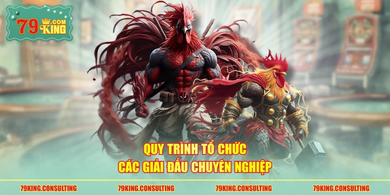 Quy trình tổ chức các giải đấu chuyên nghiệp