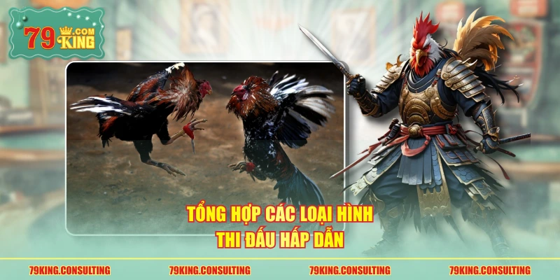 Tổng hợp các loại hình thi đấu hấp dẫn
